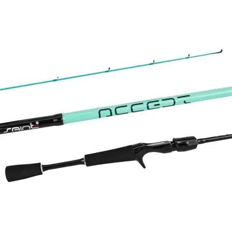 Vara Saint Accept C581 - 174cm - 1 parte - 6-14 lb - 105g - Ação Rápida